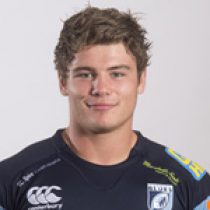 Harry Robinson rugby player