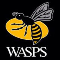 Wasps RFC
