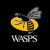 Koree Britton Wasps