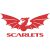 Ashley Evans Scarlets