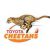 Tertius Kruger Cheetahs