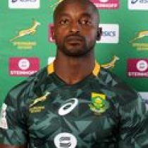 Sandile Ngcobo rugby player
