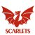 Alex Schwarz Scarlets