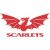 Ioan Hughes Scarlets