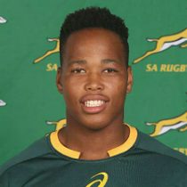 Alulutho Tshakweni rugby player