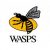 Mike Daniels Wasps