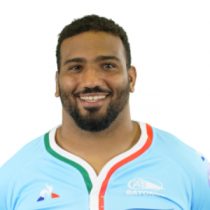 Luc Mousset rugby player