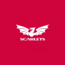 scarlets