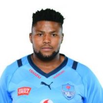 Lizo Gqoboka Blue Bulls