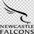 Louis Brown Newcastle Falcons