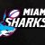 Nick Grigg Miami Sharks