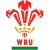 G Cannon Wales U20's