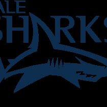 Elizabeth Shermer Sale Sharks Women