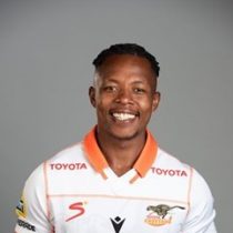 Sibusiso Nkosi Cheetahs