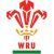 Lowri Williams Wales U20's Women