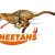 Pieter Jansen van Vuuren Free State Cheetahs