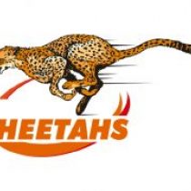 Aranos Coetzee Cheetahs