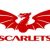 Louie Trevett Scarlets