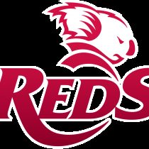 Matt Brice Queensland Reds