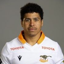 Cohen Jasper Cheetahs