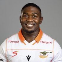 Vernon Paulo Cheetahs