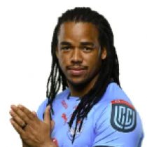 Stedman Gans Blue Bulls