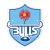 Jan Serfontein Blue Bulls