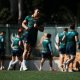 Wallabies’ Ellis Park Squad: The Big Winners and Losers