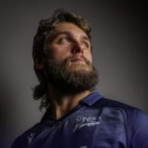 Rouban Birch Sale Sharks