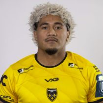 Fine Inisi Dragons RFC