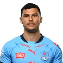 Embrose Papier Blue Bulls