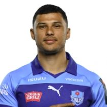 Embrose Papier Bulls