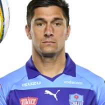 Harold Vorster Bulls