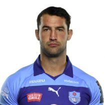 Henry Immelman Bulls