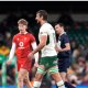 South Africa's Eben Etzebeth to appear at hearing after red card for alleged eye-gouging