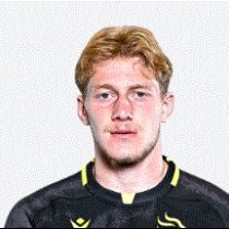 Luka Tsirekidze The Black Lion