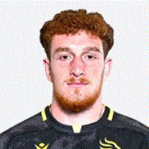 Giorgi Nikoladze The Black Lion