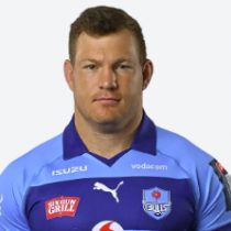 Johan Grobbelaar Bulls