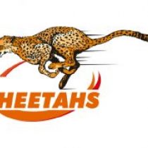 Arno van der Merwe Cheetahs