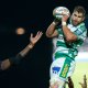 Eli Snyman to join Ulster Rugby on two-year deal