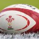 WRU Statement: Update on Cardiff Rugby