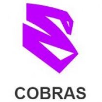Nicholas Sydorowitz Cobras Brasil XV