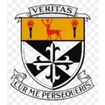 Sean Mullins Newbridge College Senior Cup Team