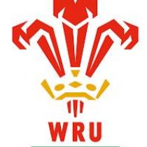 Osian J Williams rugby player