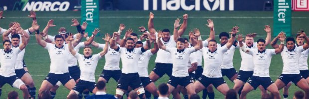 Screenshot 2026-02-16 081005