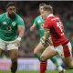 Ankle injury rules Wales' Sam Costelow out of Ireland clash