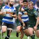 Stormers come up short at home