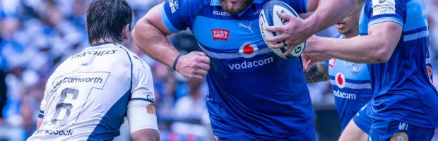 Bulls-prop-Wilco-Louw-Scarlets
