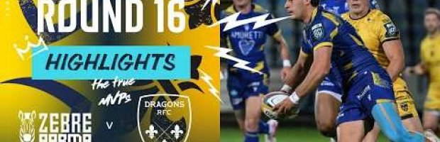 VIDEO HIGHLIGHTS: Zebre Parma v Dragons RFC