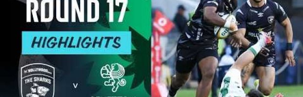VIDEO HIGHLIGHTS: Sharks v Benetton Rugby